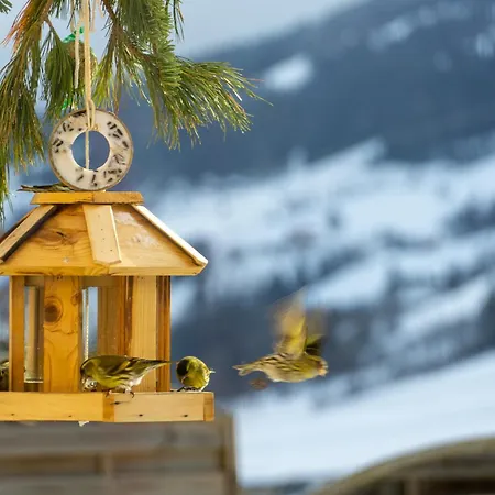 Διαμέρισμα Liab Schladming