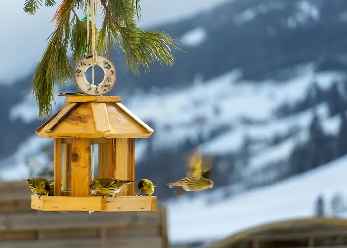 Appartamento Liab Schladming